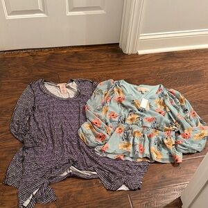 Philosophy Blouse Bundle